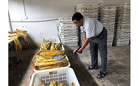 RFID物聯(lián)網(wǎng)技術(shù)在卷煙物流管理中的應用措施