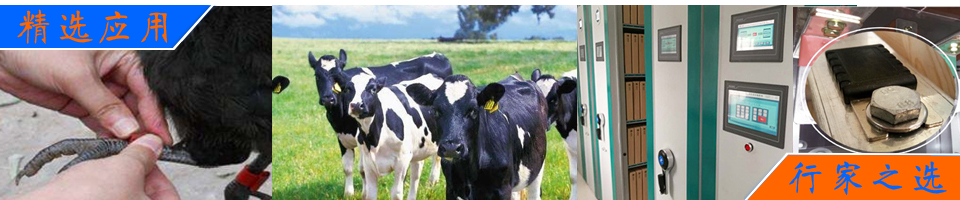 超高頻工業(yè)PDA用于服裝訂貨會方案 - RFID解決方案|畜牧業(yè)動物管理/資產(chǎn)管理/無源測溫/寵物管理 - 上海營信-RFID技術(shù)專家